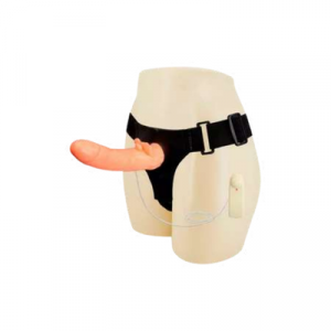 ARNES ULTRA